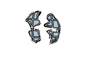 geototal logo